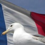 Flag.